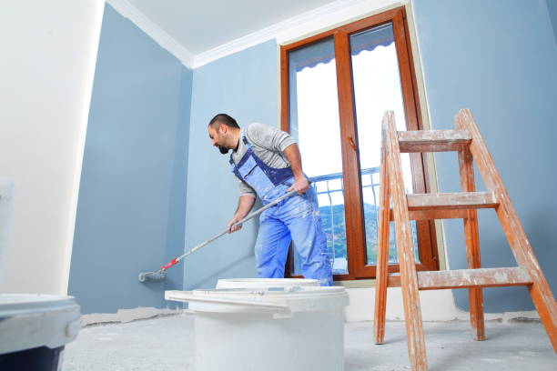 Professional Mold Removal in Lone Grove, OK