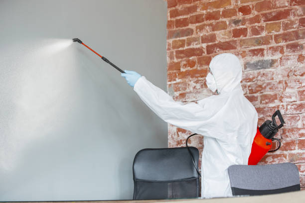 Best Post-Construction Mold Inspection  in Lone Grove, OK