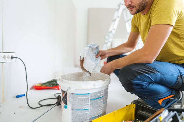 Best Black Mold Removal  in Lone Grove, OK