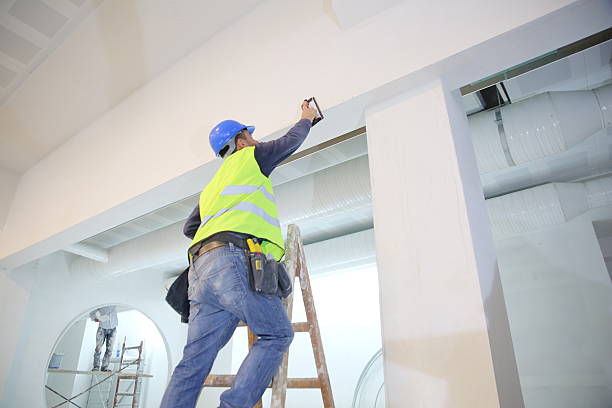 Best Water Damage & Mold Remediation  in Lone Grove, OK