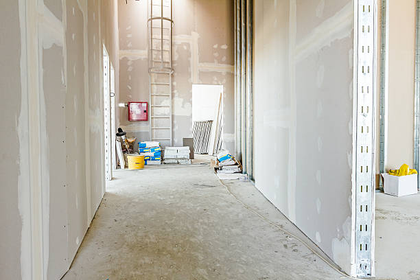 Best Mold Removal for HVAC Installations  in Lone Grove, OK