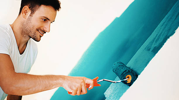Best Mold Damage Restoration  in Lone Grove, OK